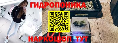 молекула духа Нальчик