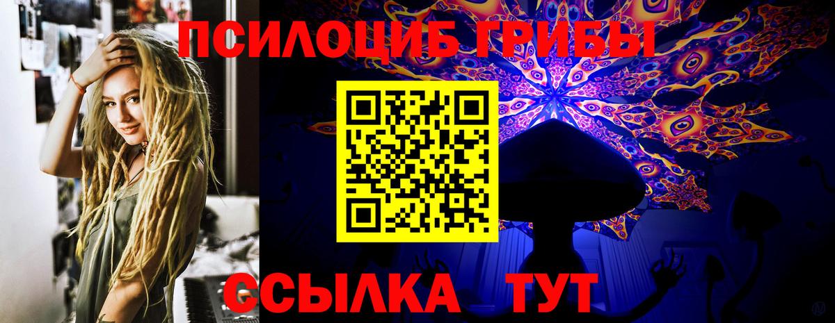 Псилоцибиновые грибы Psilocybine cubensis  Псилоцибиновые грибы прущие грибы  Вход с VPN  Тихвин 