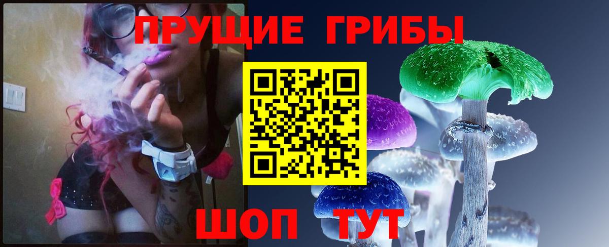 Галлюциногенные грибы прущие грибы Тихвин