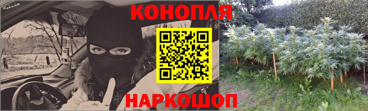 Марихуана планчик Тихвин